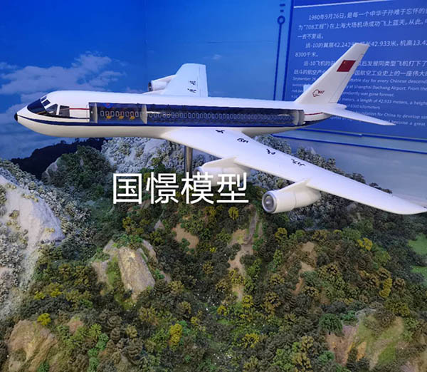 柏乡县飞机模型